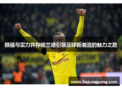 颜值与实力并存哈兰德引领足球新潮流的魅力之路