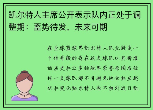 凯尔特人主席公开表示队内正处于调整期：蓄势待发，未来可期
