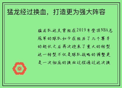 猛龙经过换血，打造更为强大阵容