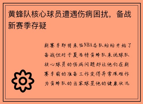 黄蜂队核心球员遭遇伤病困扰，备战新赛季存疑